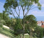 Недвижимость в Сочи