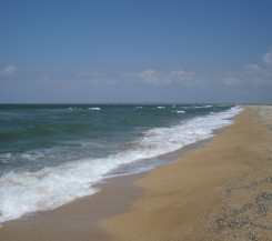 Земельные участки на Азовском море, первая линия от моря