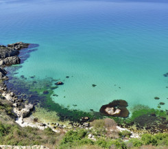 Участок в СТ «Мост»,10 соток, район горбатого моста! ЦЕНА СНИЖЕНА!