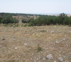 Участок на пр. Победы, ул. Генерала Рихтера