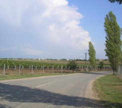 Два участка в с.Солнечный с возможностью прописки и присвоенным адресом