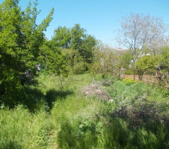 Участок в СТ «Маяк-1» на Фиоленте