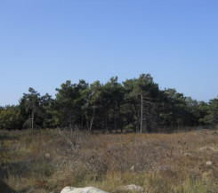 Участок на Камышовом шоссе