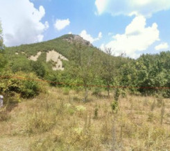 Участок 10 соток с выходом в лес в с. Тыловое