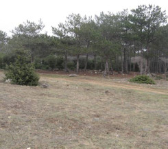 Участок  в Правой Гераклее проезд Розовый, 10 соток